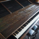 Bullshark Studio Desk